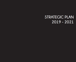 CCF-Namibia Strategic Plan 2019-2021